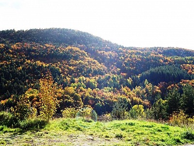 Automne_allenc (19)